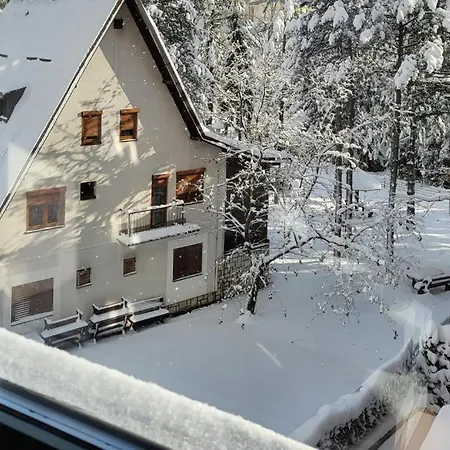 Vm Apartment
